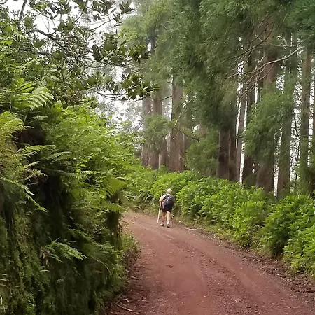 Apartman Casa Simba , Where The Fun Begins