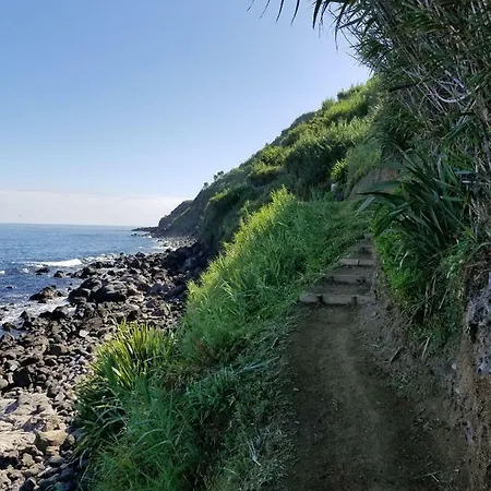 Apartman Casa Simba , Where The Fun Begins Ponta Delgada