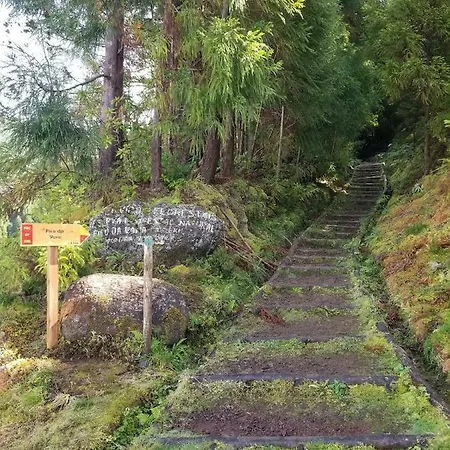 Casa Simba , Where The Fun Begins *