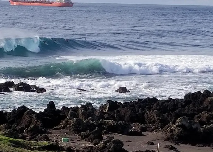 Casa Simba , Where The Fun Begins