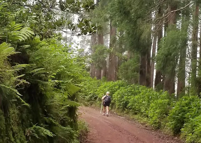 Apartament Casa Simba , Where The Fun Begins