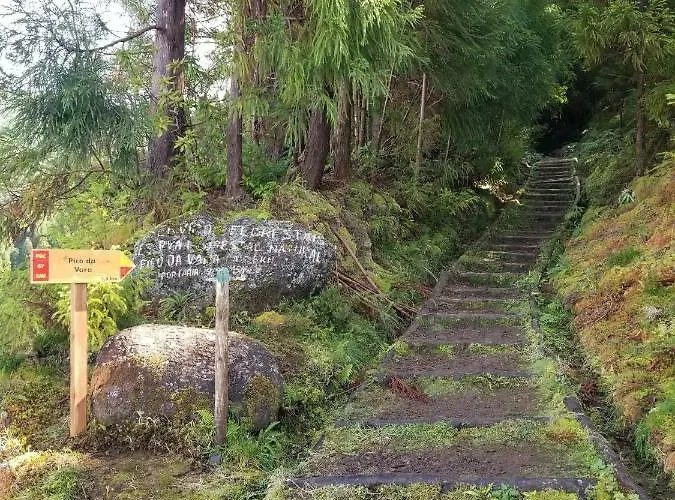 Casa Simba , Where The Fun Begins *