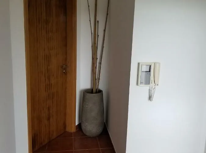 Apartament Casa Simba , Where The Fun Begins *